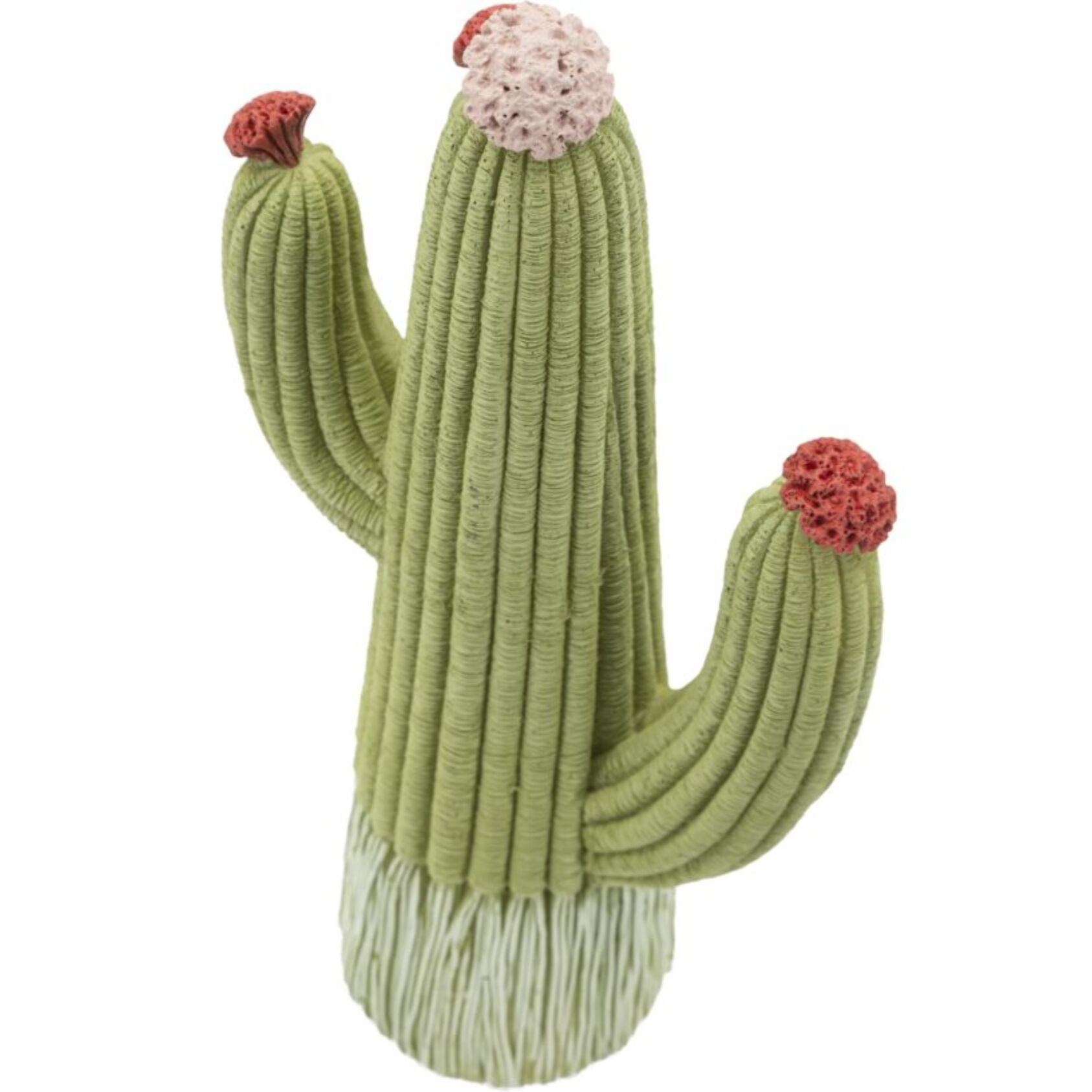 CACTUS CM 13X7X25