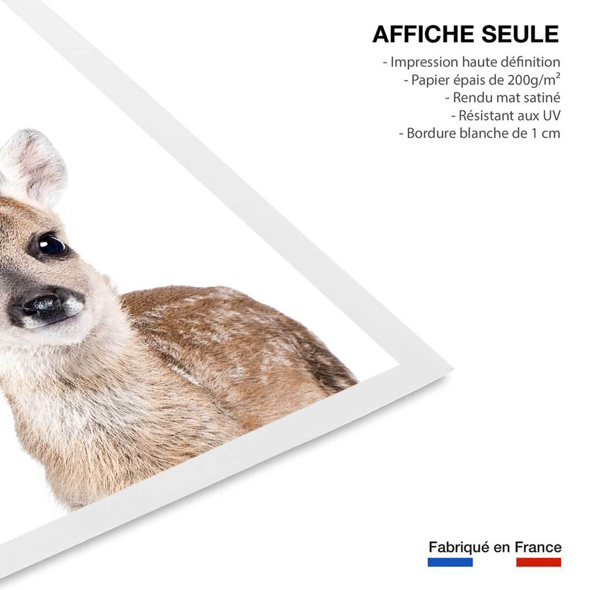 Affiche enfant bébé biche  Affiche seule