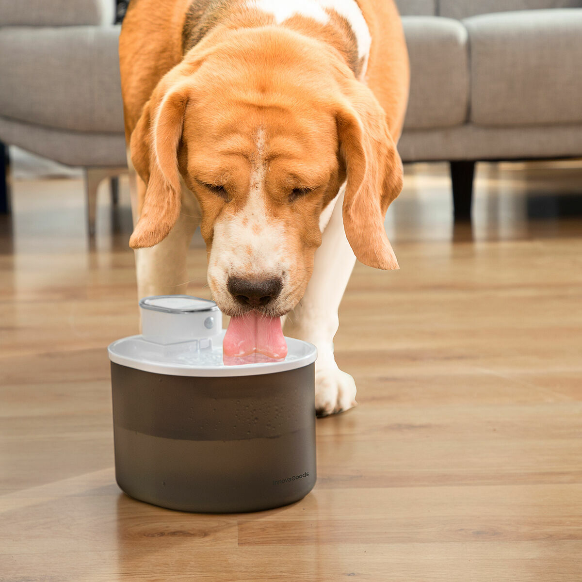 Fuente para Gatos Recargable con Sensor Refopet InnovaGoods