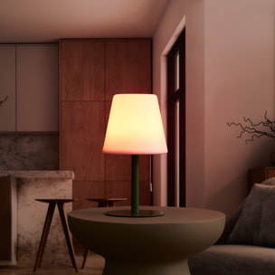 Lampe De Table Vert Rechargeable Usb Ip44 H30cm