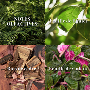 Artisan Forest - Eau de Parfum