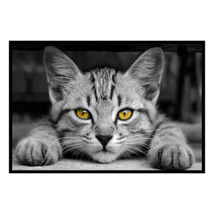 Affiche encadrée – Chat au regard doré, intensité et mystère Affiche + cadre en métal - Noir