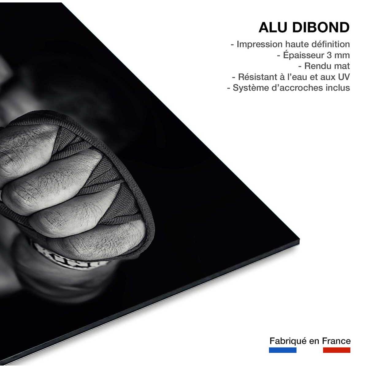 Tableau boxe left wing Tableau alu Dibond