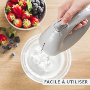 Batteur MOULINEX Easy Max HM262BF0