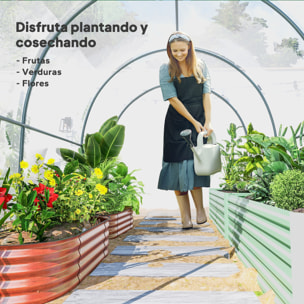 Invernadero de Exterior 3x2x2 m, Invernadero de Túnel con Puerta Enrollable, 2 Ventanas de Malla, Cubierta de Plástico y Marco de Acero, Anti-UV, para Cultivos, Plantas, Flores, Transparente