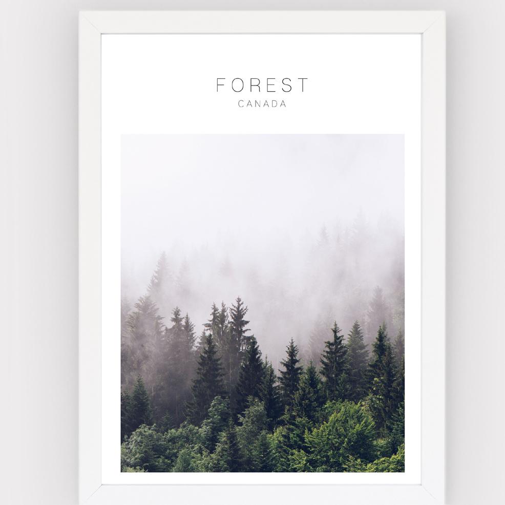 Poster Forest Canada