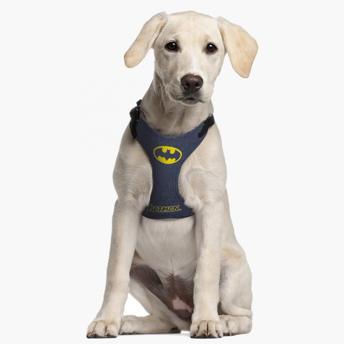 Dc Comics Batman Pettorina per cane XXS-XS For Fun Pets Cerdà