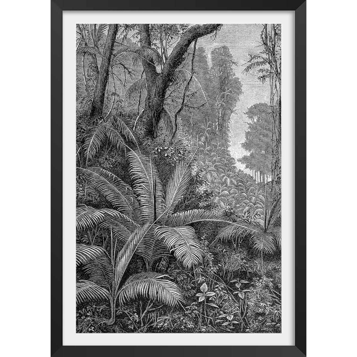 Affiche paysage jungle indienne Affiche + cadre en bois - Noir