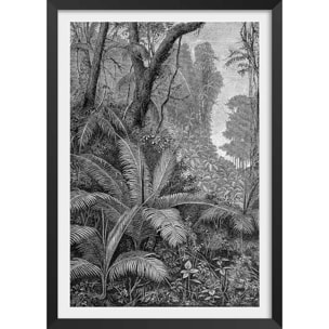 Affiche paysage jungle indienne Affiche + cadre en bois - Noir