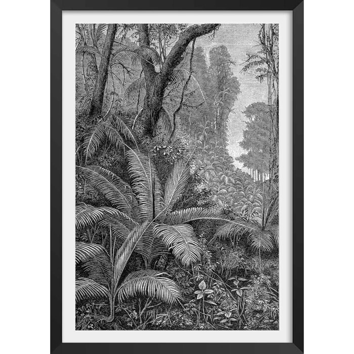Affiche paysage jungle indienne Affiche + cadre en bois - Noir