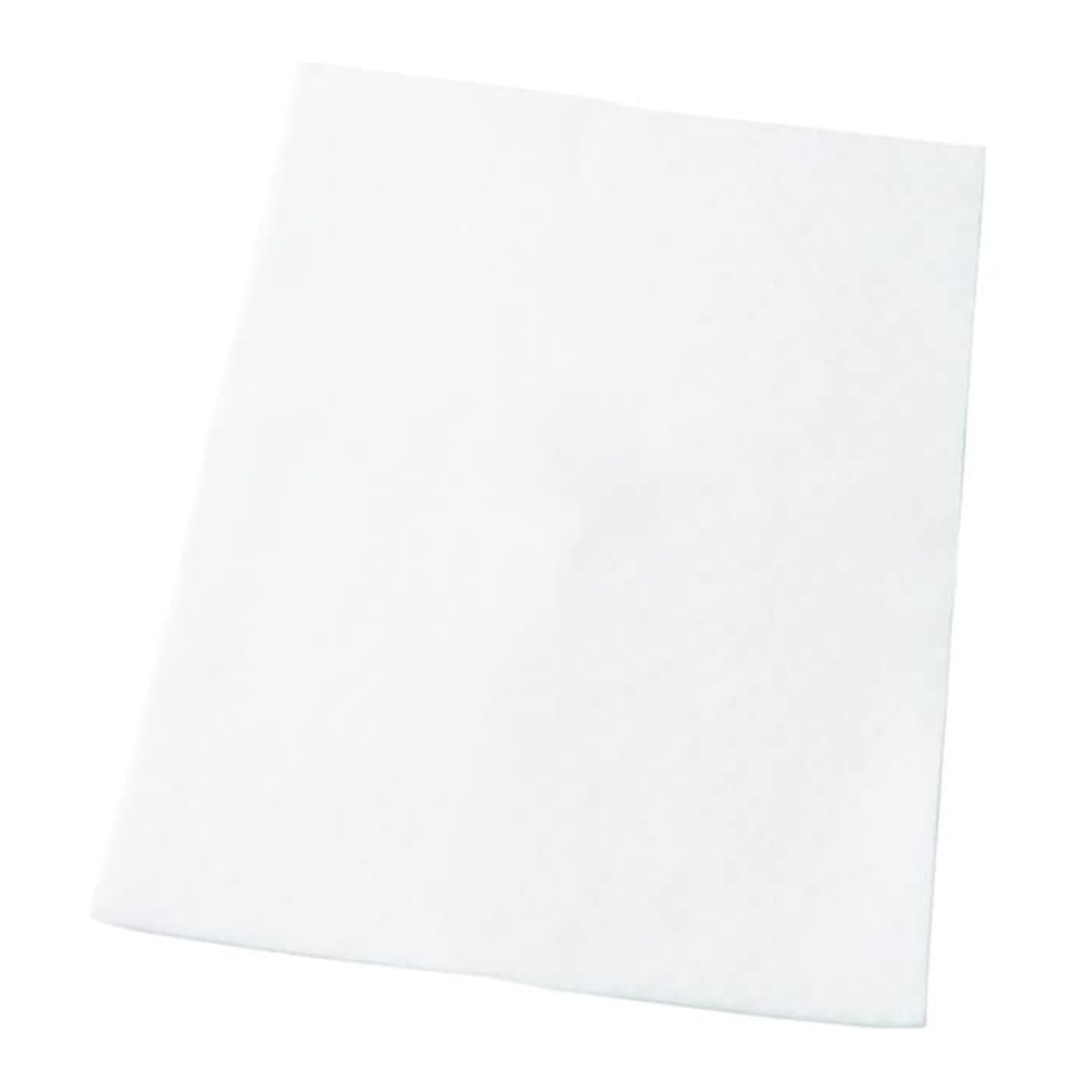 AEG Filtro de aspiradora AEF54