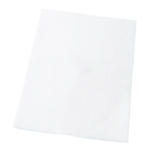 AEG Filtro de aspiradora AEF54