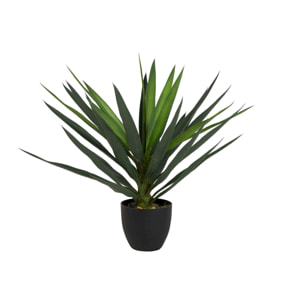 Planta Yucca Con Maceta 70x70x70 Cm