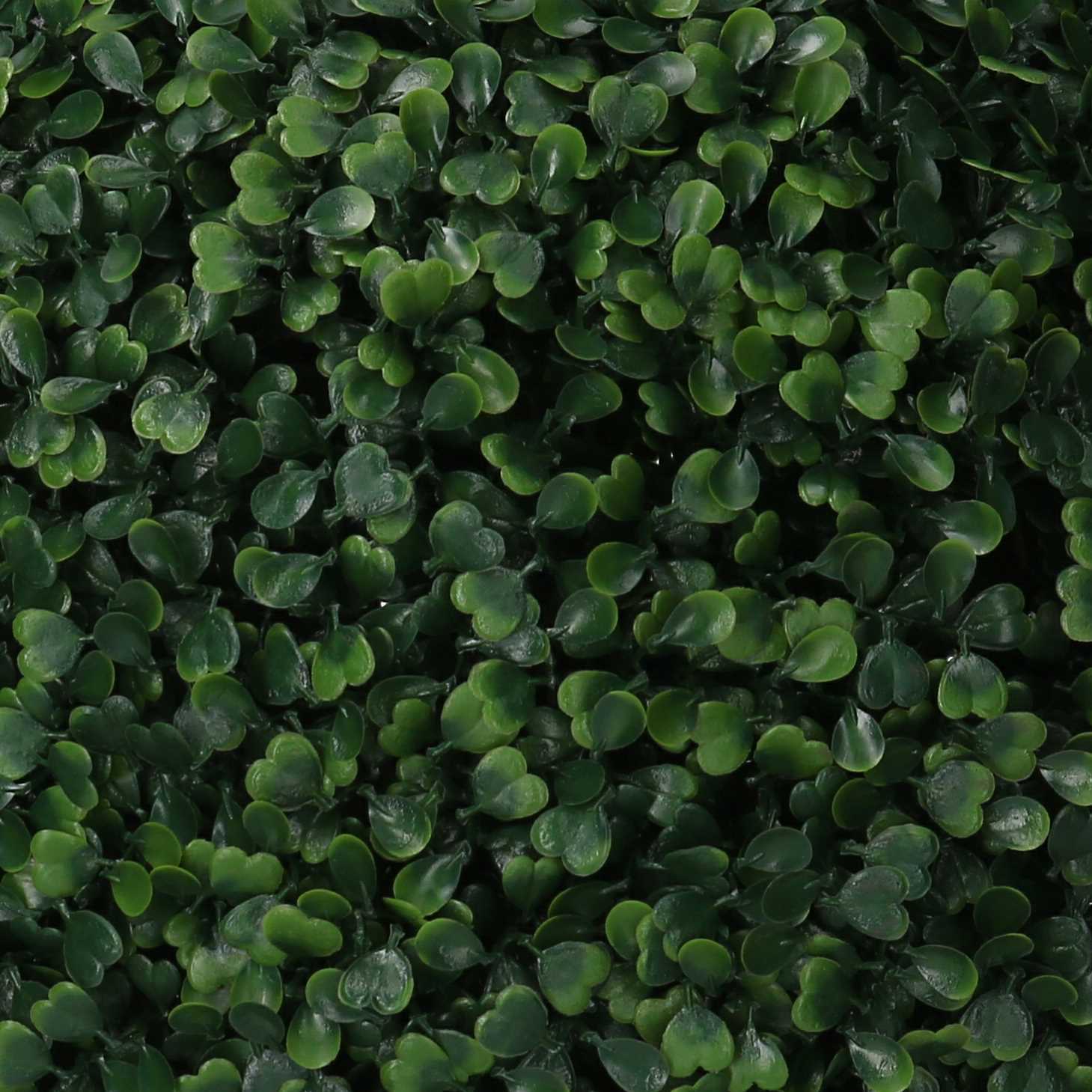 Bosso Vacchetti verde tondo cm ø38h38