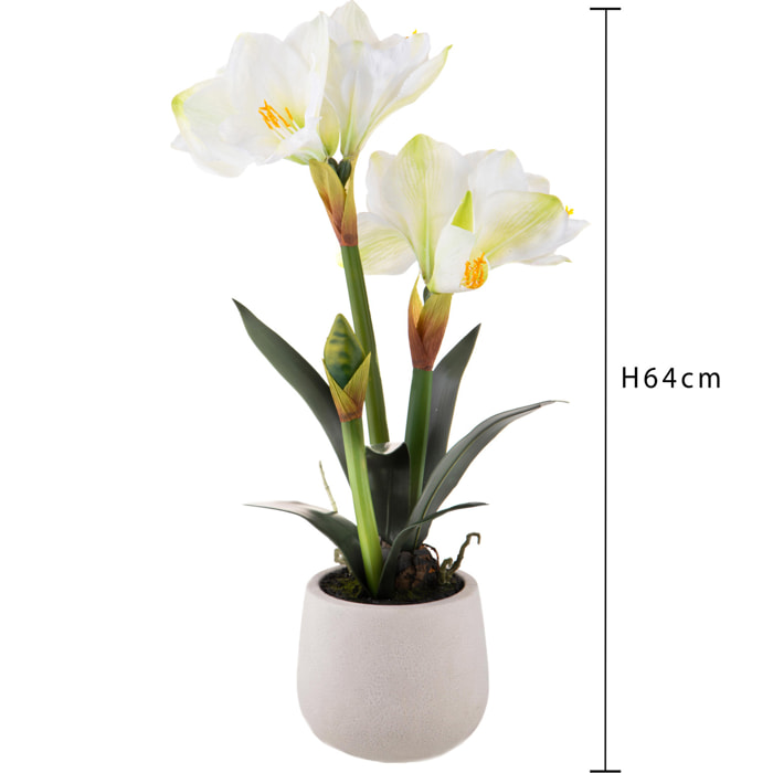 Amaryllis Con Vaso. Altezza 64 Cm - Pezzi 1 - 36X64X25cm - Colore: Bianco - Bianchi Dino - Piante Artificiali