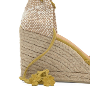 Alpargata de cuña Joyce en ante con punta afilada y cierre de cordones