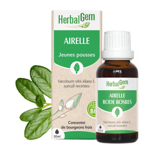 Herbalgem- Bourgeon d'Airelle - Bio - 30 ml
