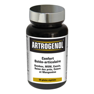 NUTRIEXPERT - Artrogenol - Confort ostéo-articulaire - Formulée à base de Bambou, MSM, Cassis, Reine des prés, Cuivre et Manganèse - Cure de 30 j - 60 gélules végétales