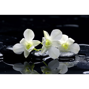 Tableau zen deco design orchidée blanche Tableau alu Dibond