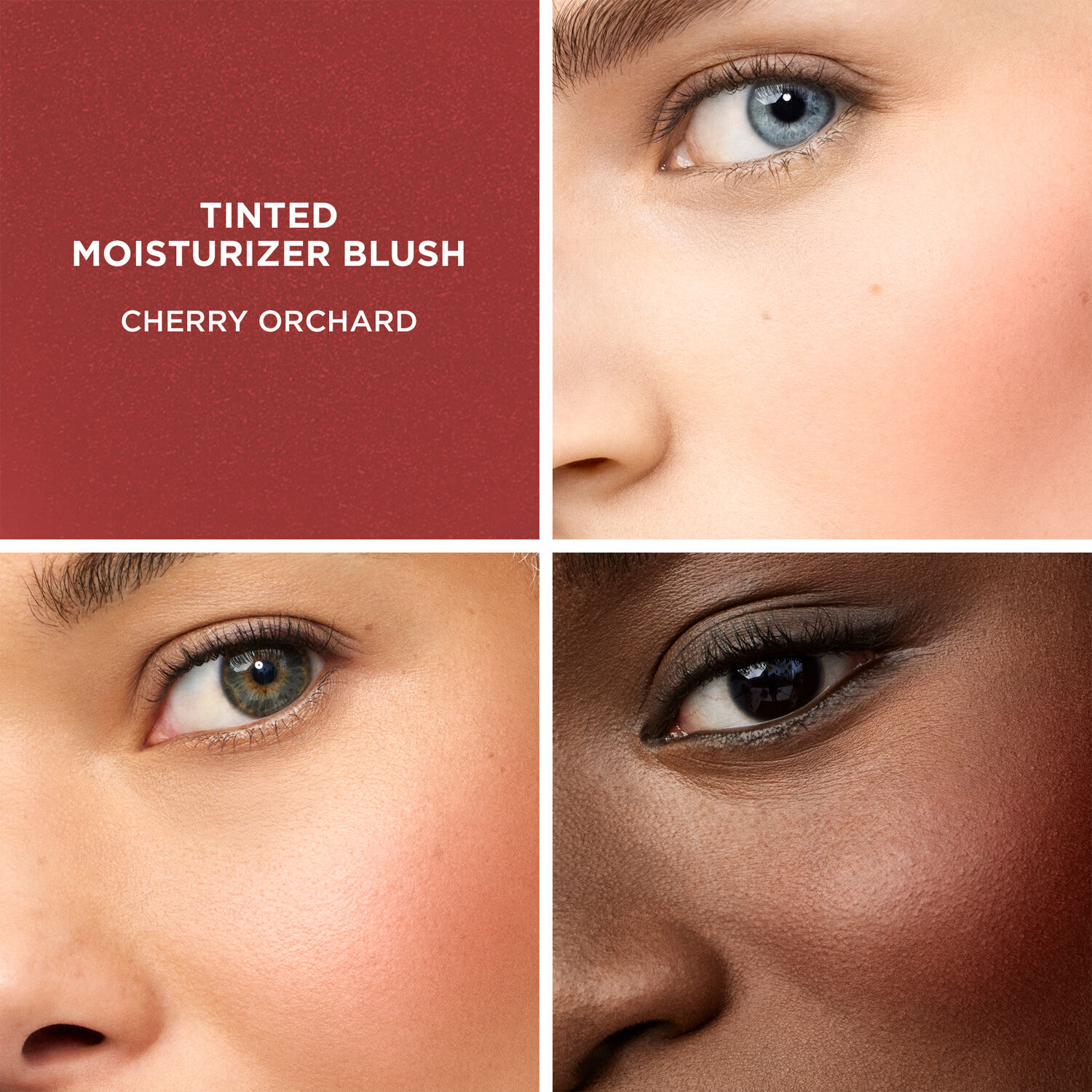 Tinted Moisturizer Blush - Blush Hydratant Teinté