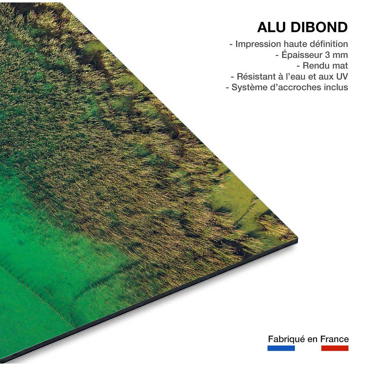 Tableau végétaux et flore aquatique Tableau alu Dibond