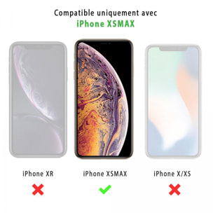 Coque iPhone Xs Max Coque Soft Touch Glossy Marbre Noir Inséparables Design La Coque Francaise