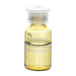 Bio-shock reparateur au collag.et elast. 12 x 3 ml.