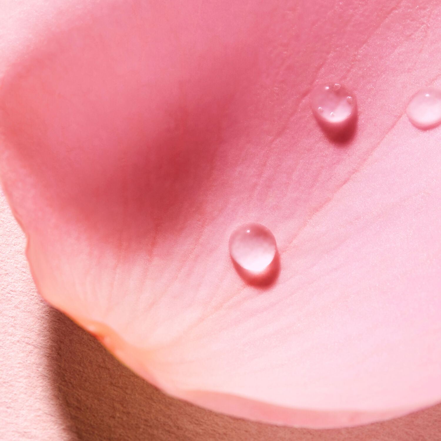 Very Rose - Very Rose - Eau Voluptueuse Parfumante 100ml
