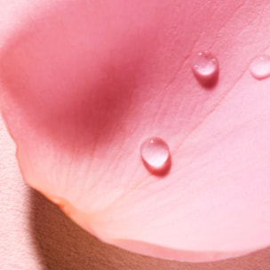 Very Rose - Very Rose - Eau Voluptueuse Parfumante 100ml