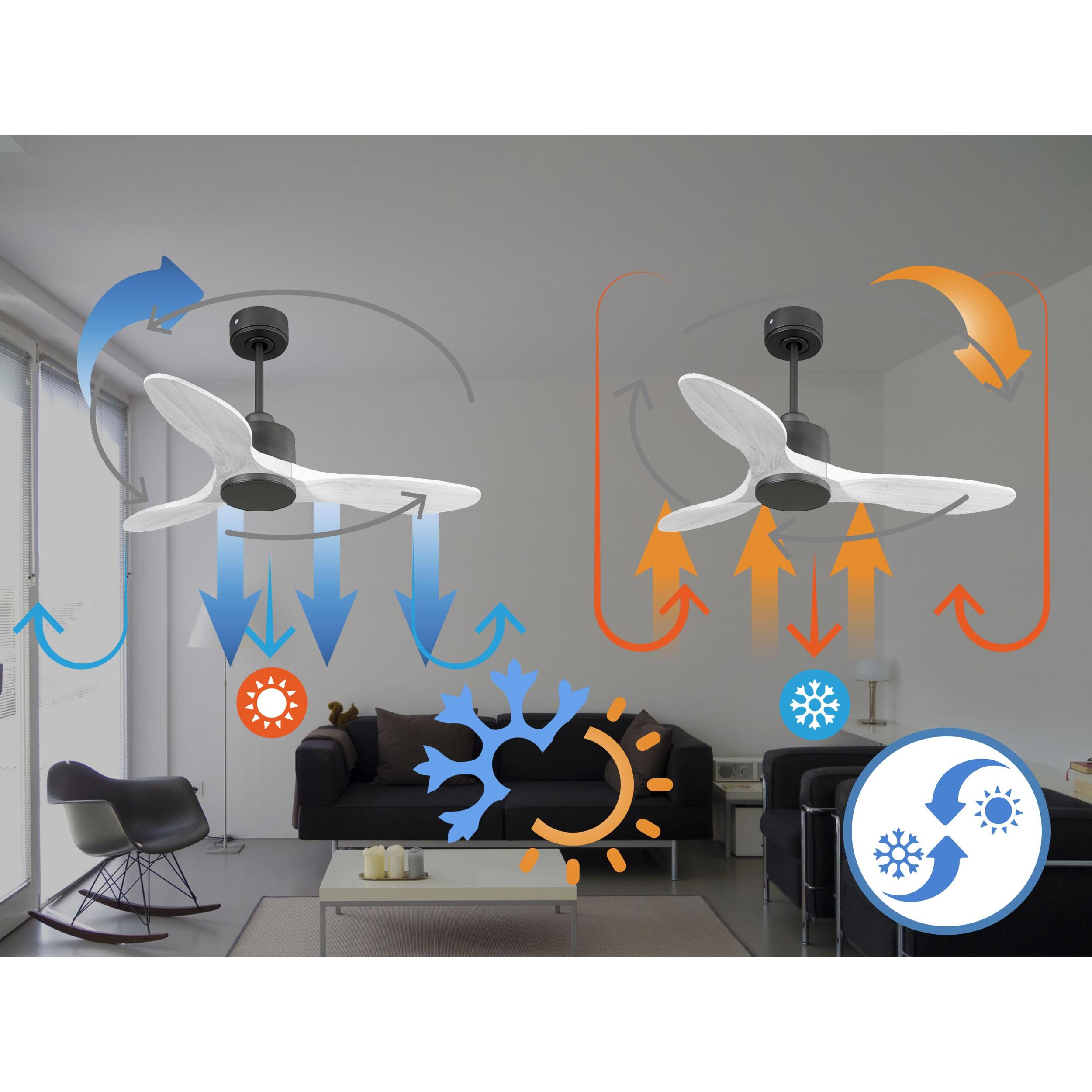 Ventilador de techo Modo Invierno/Verano Termostato Wifi Motor DC Techos Inclinados Mando a Distancia Hypersilence Memoria Vendible Shopify (AUTOMATICO) LimaD106C0365193 PURLINE