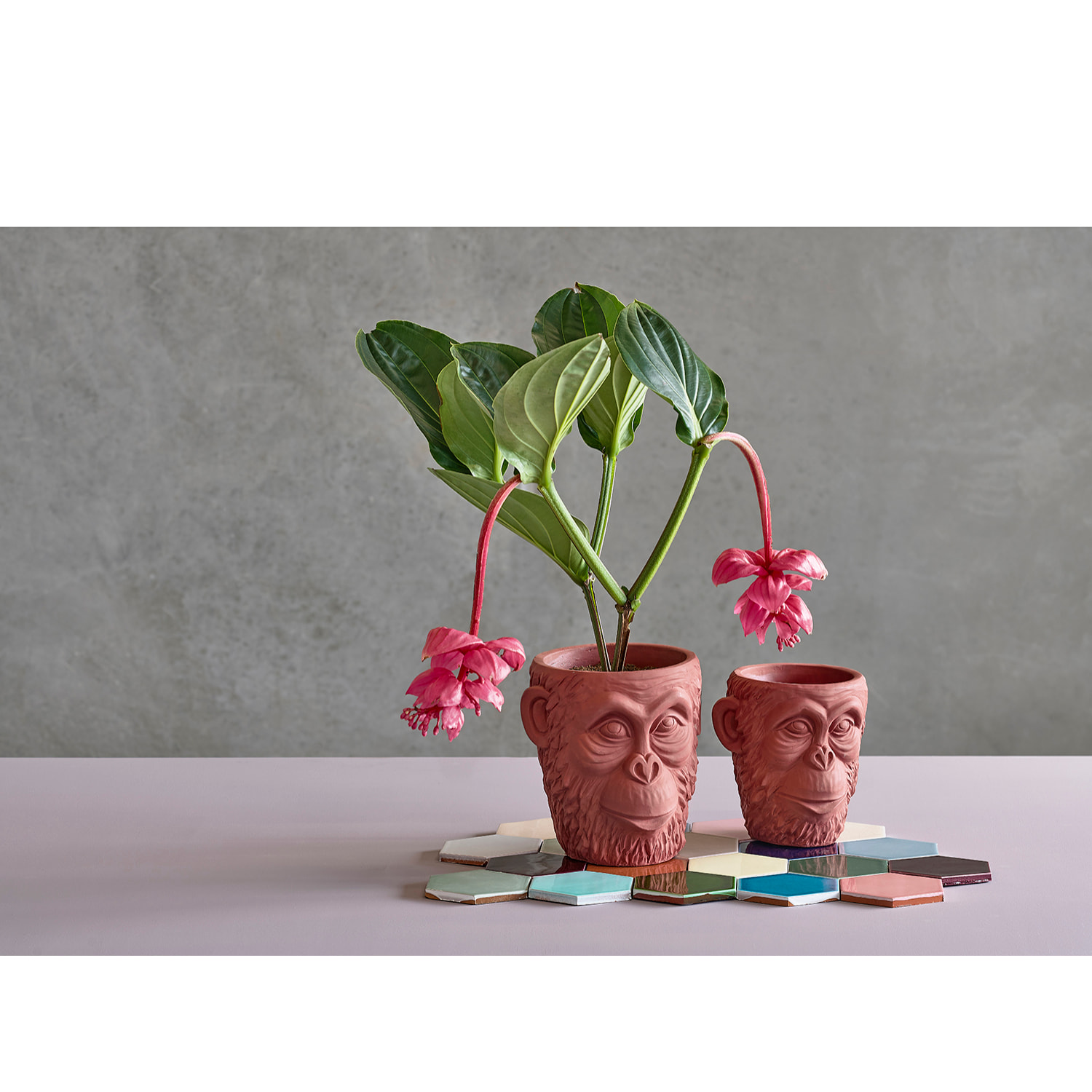 Pot de fleur Calbe