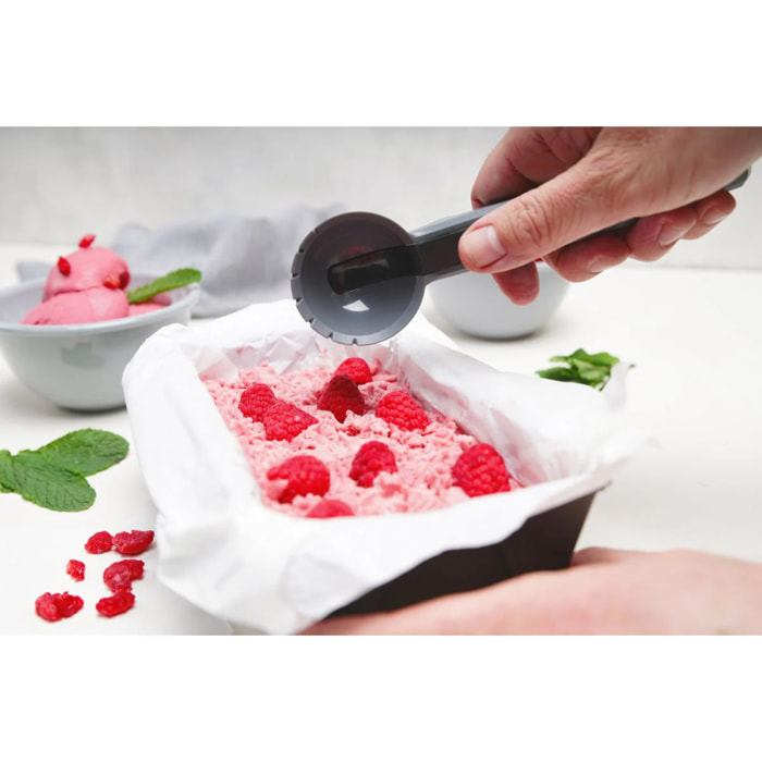 Cuillère à glace Fackelmann Divers