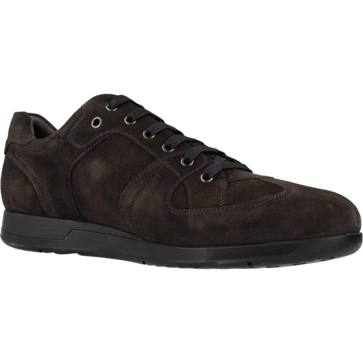 DERBIES - OXFORD STONEFLY LONDON 1 VELOUR