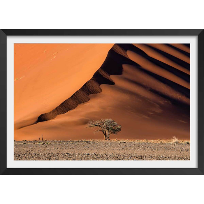 Affiche L'arbre sur la dune, Namibie Affiche + cadre en bois - Noir