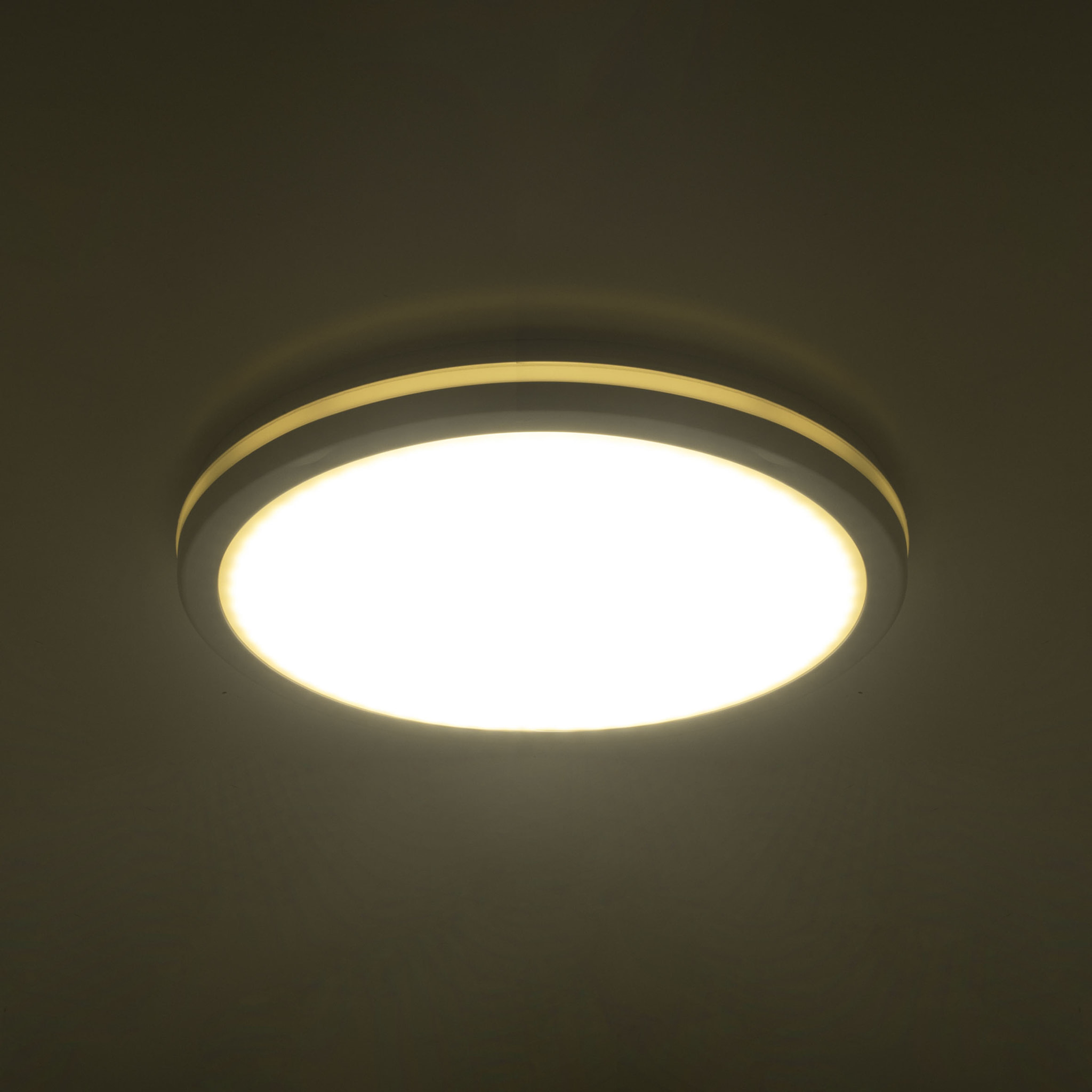 FORLIGHT Scal - Plafón de Techo LED 30cm para Exterior con Temperatura de Color Regulable 3000-4000-6000K de Color Blanco