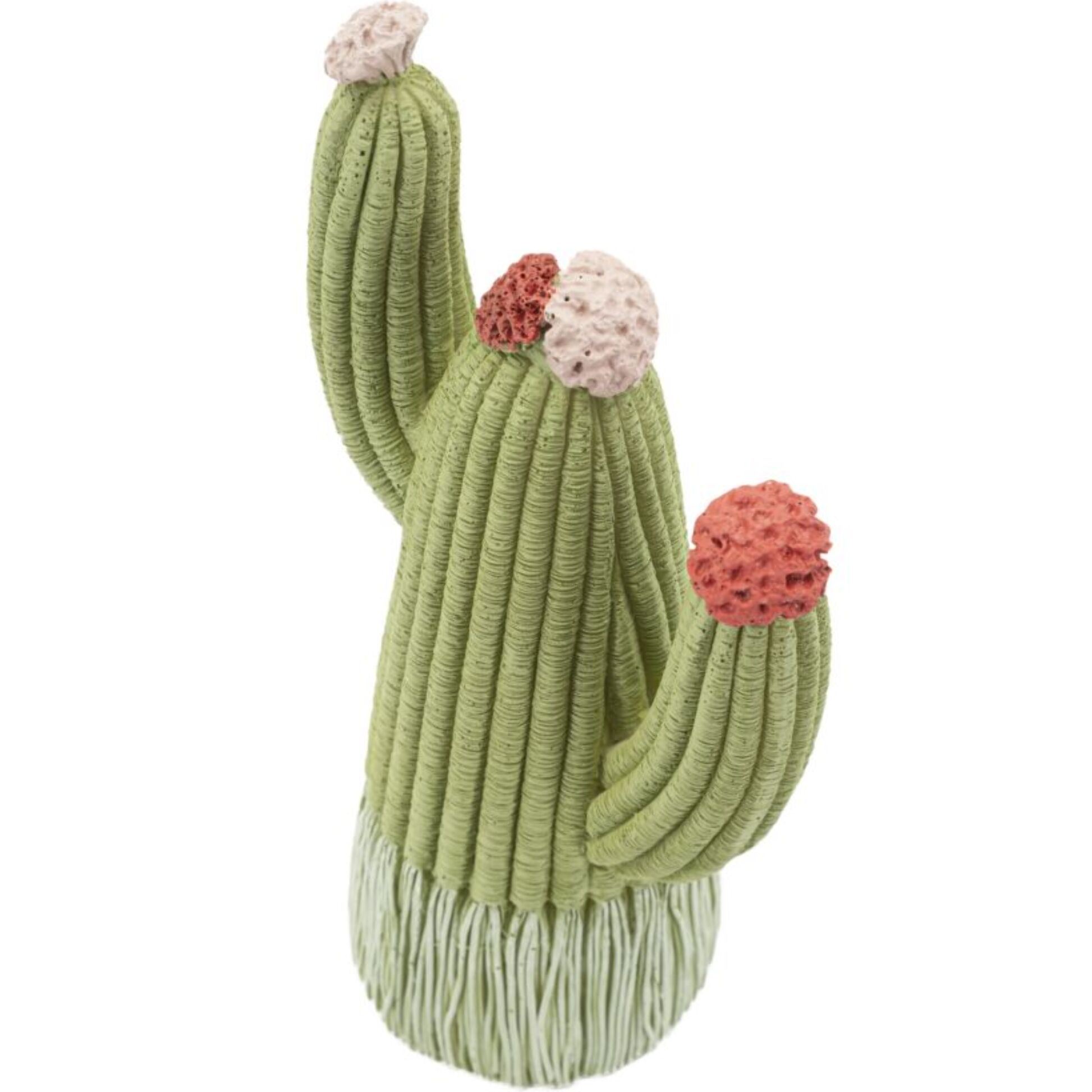 CACTUS CM 10,5X6,5X20,5
