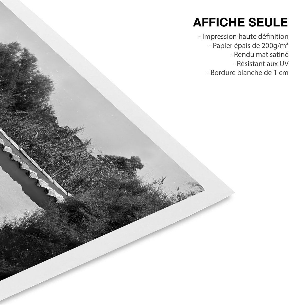 Affiche noir et blanc Brigitte Bardot à Ramatuelle Affiche seule