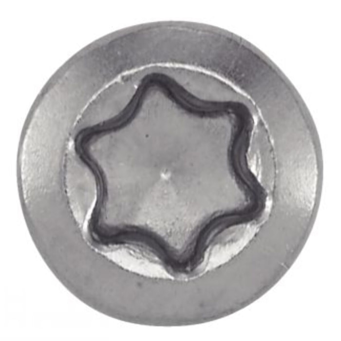 Seau 500 Vis terrasse tête fraisée 5 x 60 inox A2 Torx 25 + 1 embout Torx bois dur ACTON - 623265X60SEAU