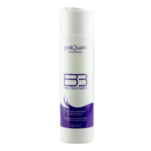 Champú de acción total BB Hair - Cabello seco y sin brillo - 250 ml