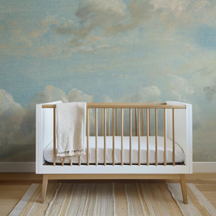 Carta da Parati Cielo Dipinto