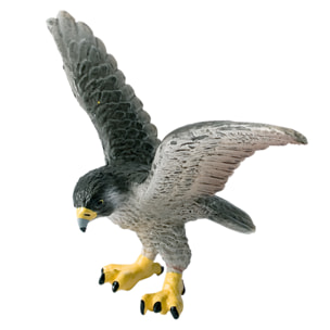 Mondo degli Uccelli/Falco Pellegrino