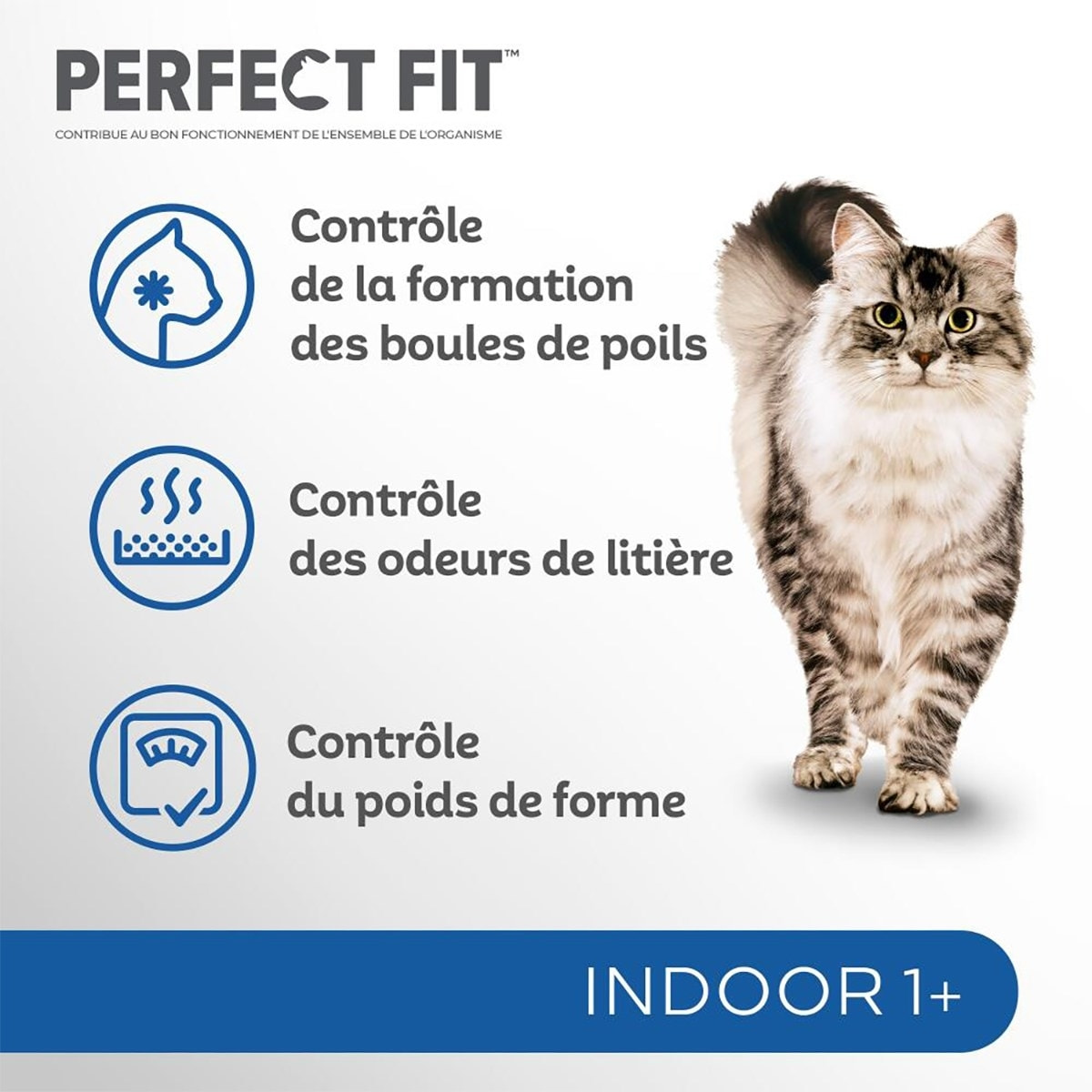 PERFECT FIT Croquettes Riche en Poulet chat adulte intérieur stérilisé 5x1,4kg