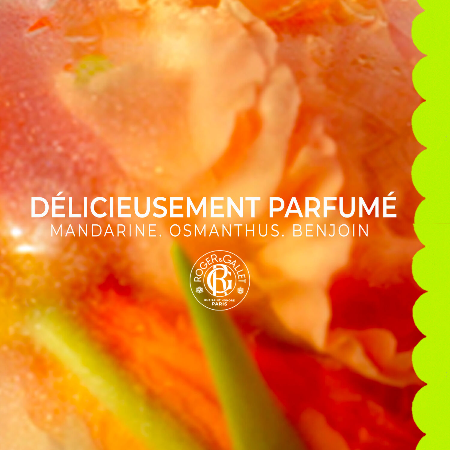 Fleur d'Osmanthus - Gel Douche Bienfaisante 200 ml