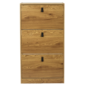 Meuble A Chaussures 3 Portes Abbott