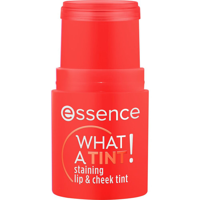 What A Tint! - Blush Baume Teinté Lèvres et Joues