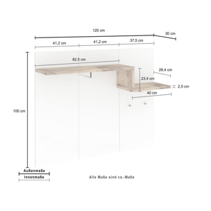 Appendiabiti orizzontale, Made in Italy, con ganci e tubo per appendini, Mobile per ingresso, cm 120x30h100, colore Bianco lucido e Acero