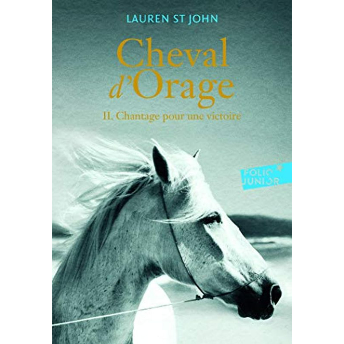 St John,Lauren | CHEVAL D'ORAGE T2 | Livre d'occasion