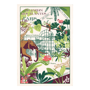 Torchon Jardin Des Plantes