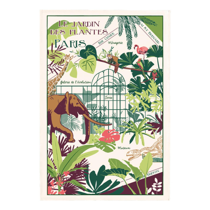 Torchon Jardin Des Plantes