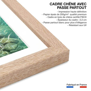 Affiche enfant jeune paresseux avec bouée  Affiche + cadre en bois - Chêne
